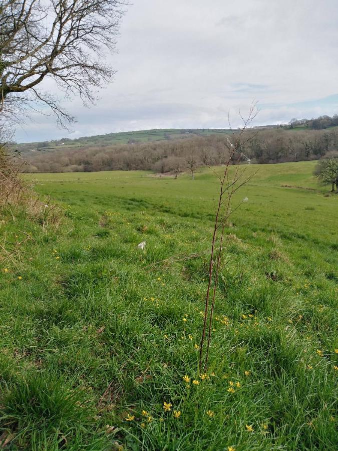 The Mill Cottage Llechryd エクステリア 写真