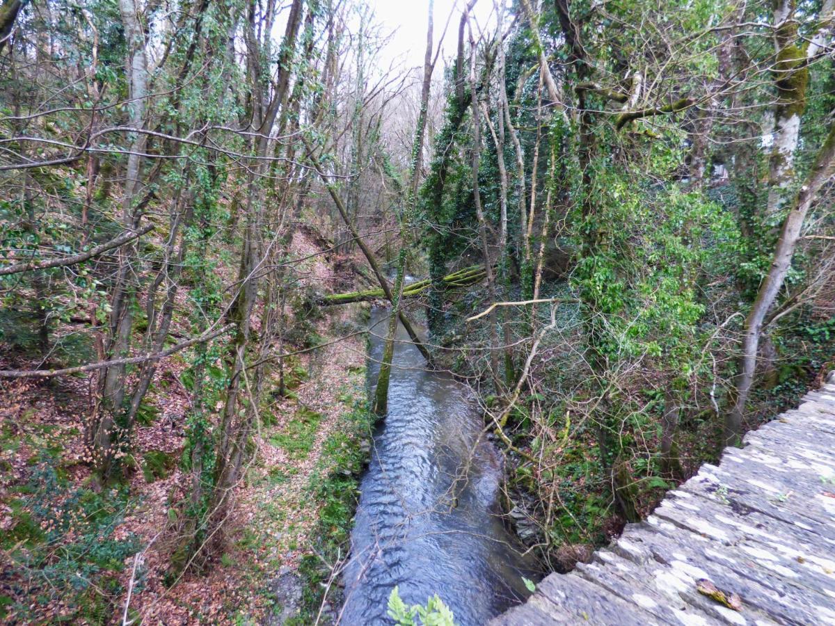 The Mill Cottage Llechryd エクステリア 写真